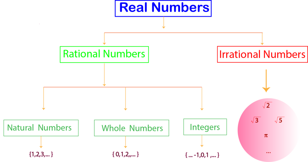 Figure showing tree structure of Real Numbers